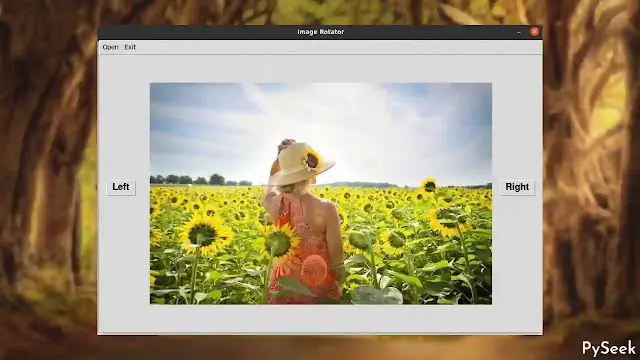 A computer application window showing an image of a girl standing in a sunflower field. To the left and right of the image, there are 'Left' and 'Right' buttons. Above the application window, there is a menu bar with 'Open' and 'Exit' buttons. In the background of the app, a partially blurred forest scene is visible.