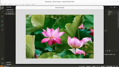 An image of Lotus flowers and their leaves displayed within a window frame. In the background, a code editor is open, suggesting that the image is being rendered using code.