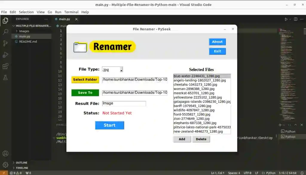 Python File Renamer Application